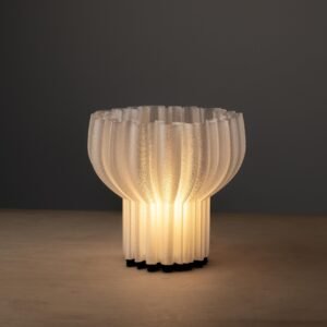 Seeura "Auralyn" Desk Lamp